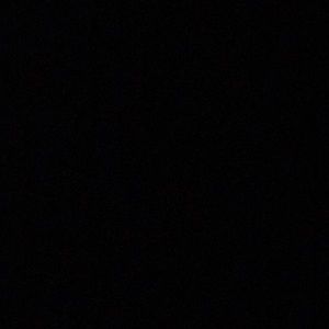 Meet your Posher, Demarcus